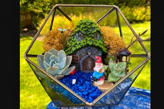 Virtual Plant Nite: Bronze Glass Geo- Gnome Garden (6+)